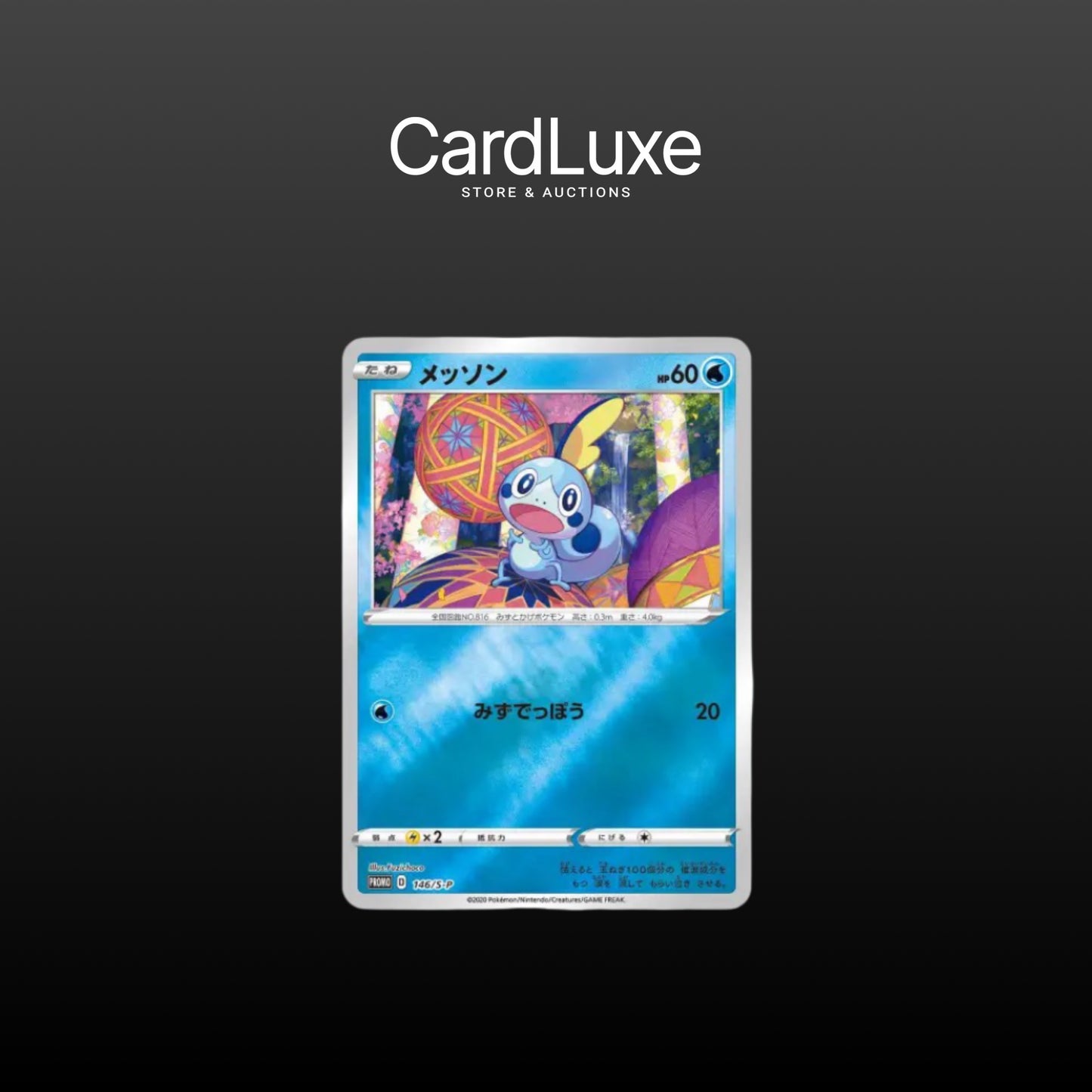 Carte Pokémon - Sobble 146/S-P Kanazawa (Near Mint)